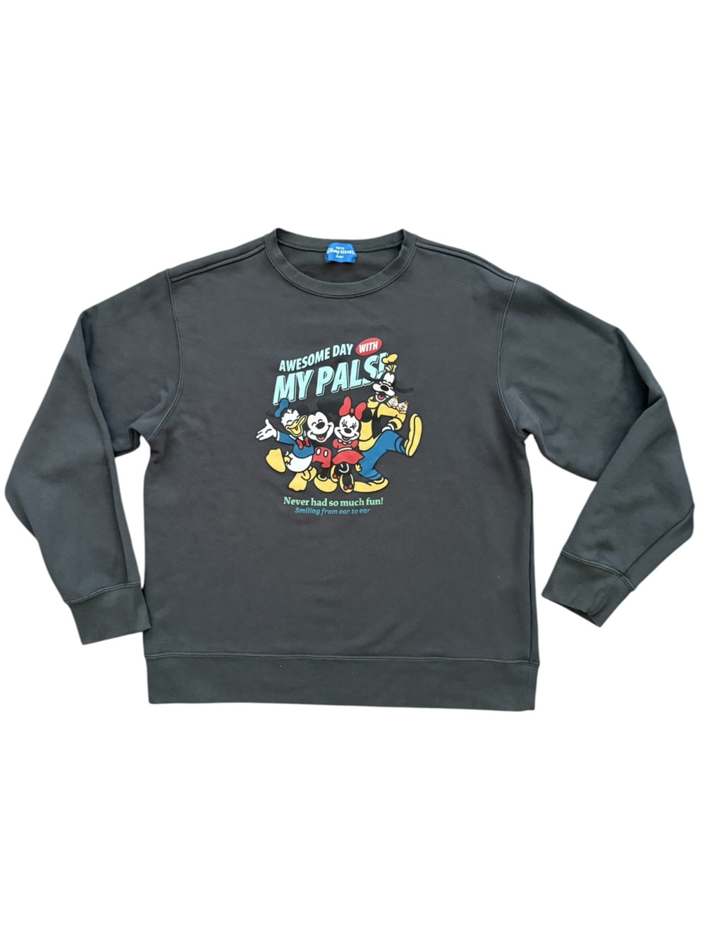 Disney Tokyo Japan Gray Crewneck Sweatshirt with Mickey & Friends Graphic